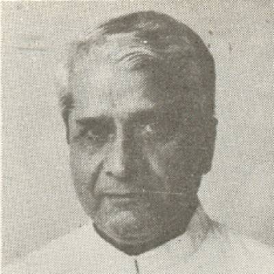 Dinesh Singh , Shri