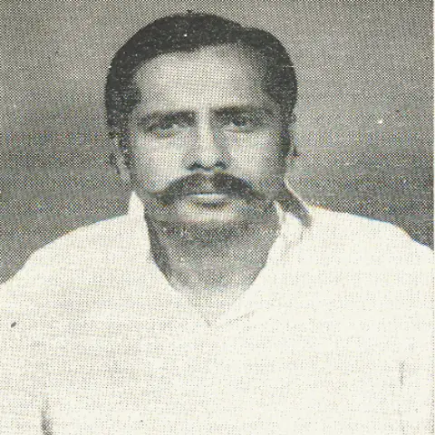 Kudanthai Ramalingam N. , Shri